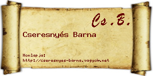 Cseresnyés Barna névjegykártya